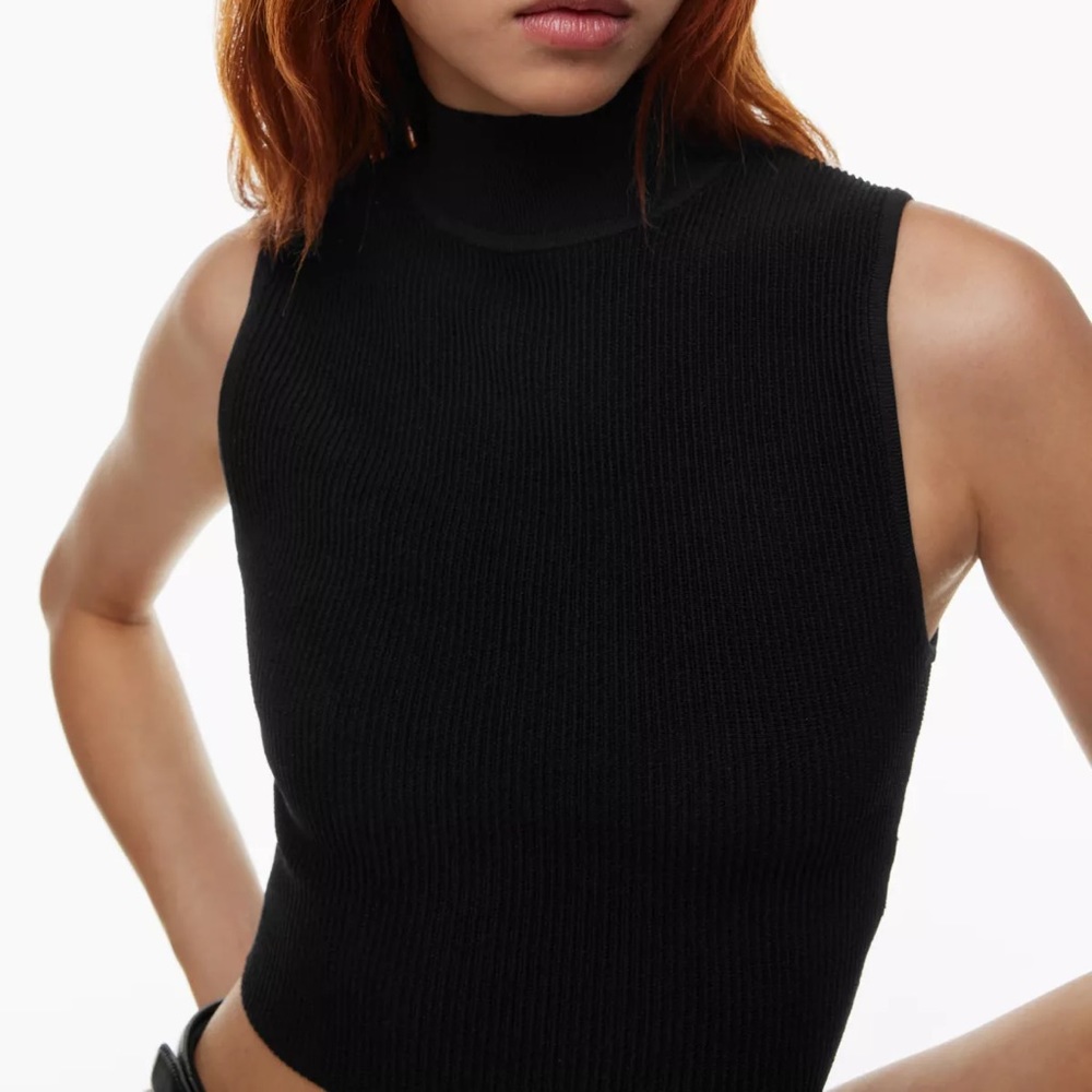 Aritzia sculpt knit mock neck